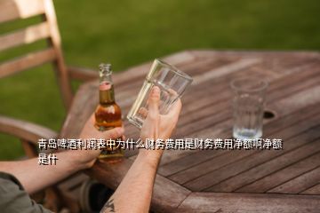 青島啤酒利潤表中為什么財務(wù)費用是財務(wù)費用凈額啊凈額是什