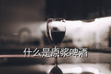 什么是原漿啤酒