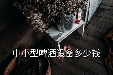 中小型啤酒設(shè)備多少錢(qián)