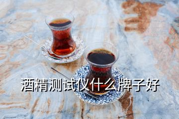 酒精測試儀什么牌子好