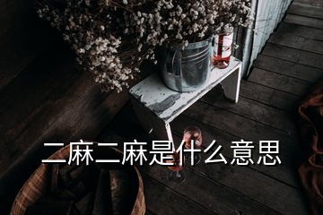 二麻二麻是什么意思