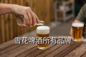 雪花啤酒所有品牌