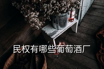 民權(quán)有哪些葡萄酒廠