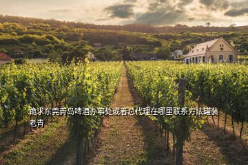 跪求東莞青島啤酒辦事處或者總代理在哪里聯(lián)系方法罐裝老青