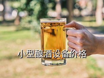 小型釀酒設(shè)備價格