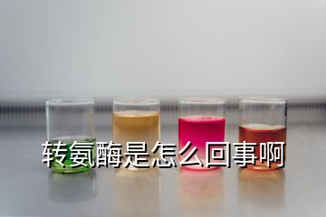 轉氨酶是怎么回事啊