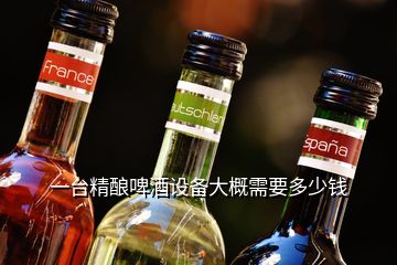 一臺(tái)精釀啤酒設(shè)備大概需要多少錢(qián)