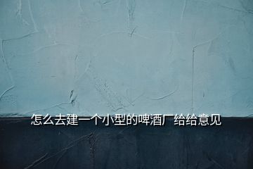 怎么去建一個(gè)小型的啤酒廠給給意見