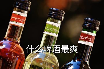 什么啤酒最爽