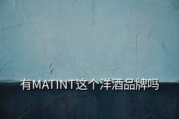 有MATINT這個(gè)洋酒品牌嗎