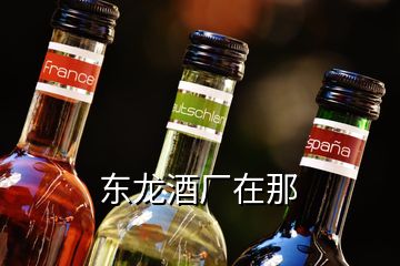 東龍酒廠在那