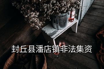 封丘縣潘店鎮(zhèn)非法集資