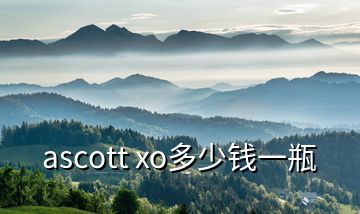 ascott xo多少錢(qián)一瓶