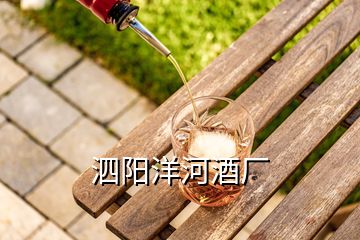 泗陽(yáng)洋河酒廠