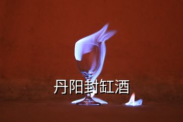 丹陽封缸酒