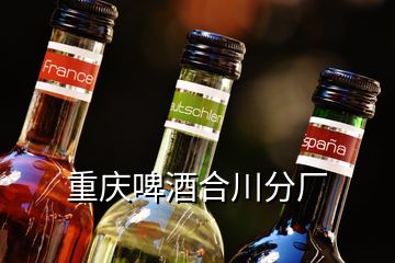 重慶啤酒合川分廠