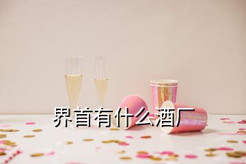 界首有什么酒廠