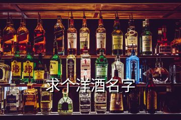 求個洋酒名字