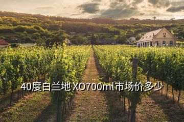 40度白蘭地 XO700ml市場價多少