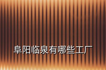 阜陽(yáng)臨泉有哪些工廠