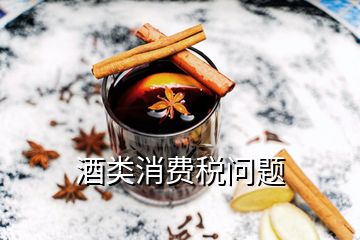 酒類消費(fèi)稅問(wèn)題