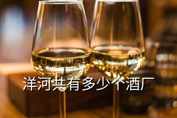 洋河共有多少個(gè)酒廠