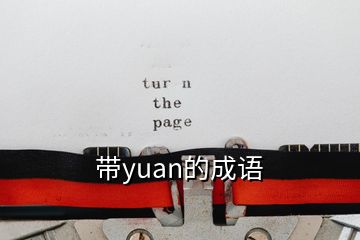 帶yuan的成語(yǔ)