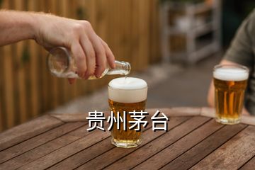 貴州茅臺(tái)