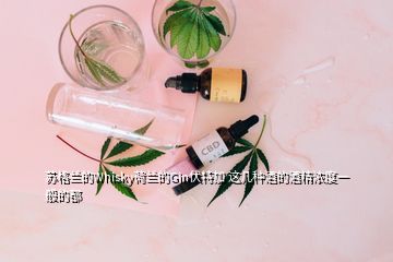 蘇格蘭的Whisky荷蘭的Gin伏特加 這幾種酒的酒精濃度一般的都