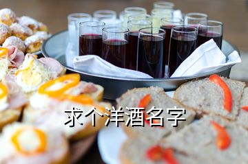 求個(gè)洋酒名字