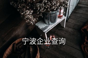 寧波企業(yè)查詢(xún)