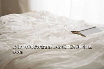 我母親3 級殘疾憂郁癥住在安徽省合肥市肥東縣石塘鎮(zhèn)王鐵鄉(xiāng)在