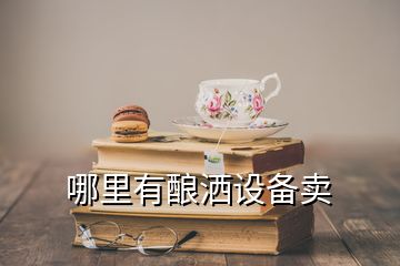 哪里有釀灑設(shè)備賣