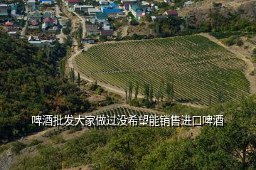 啤酒批發(fā)大家做過沒希望能銷售進(jìn)口啤酒