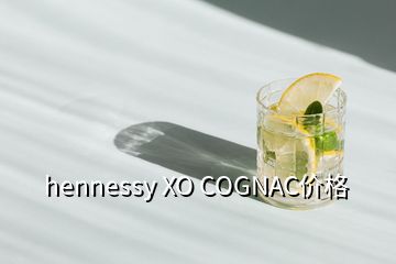 hennessy XO COGNAC價(jià)格