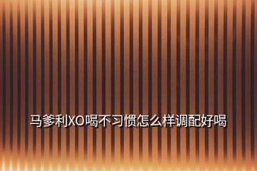 馬爹利XO喝不習慣怎么樣調配好喝