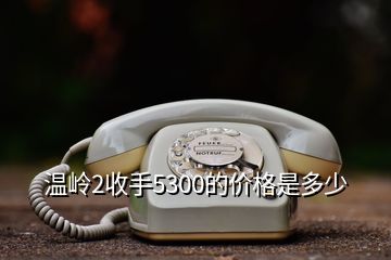 溫嶺2收手5300的價格是多少