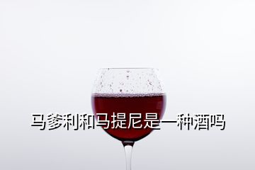 馬爹利和馬提尼是一種酒嗎