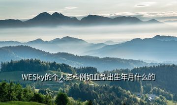 WESky的個(gè)人資料例如血型出生年月什么的