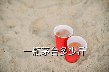 一瓶茅臺多少斤