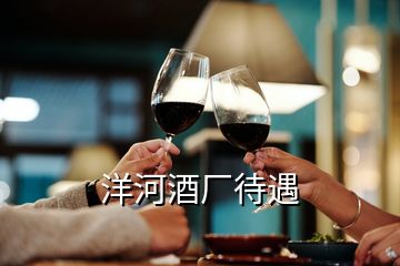 洋河酒廠待遇