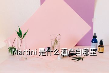 Martini 是什么酒產(chǎn)自哪里