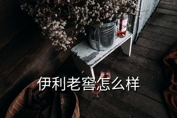 伊利老窖怎么樣