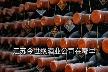 江蘇今世緣酒業(yè)公司在哪里