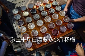 泡二十斤白酒要多少斤楊梅