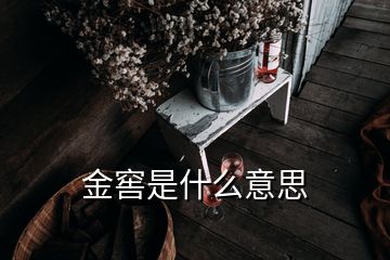 金窖是什么意思