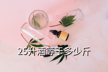 25升酒等于多少斤