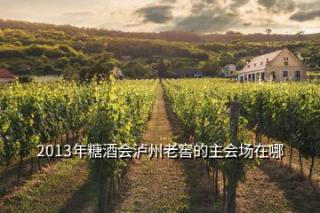 2013年糖酒會(huì)瀘州老窖的主會(huì)場在哪