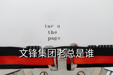 文鋒集團(tuán)老總是誰