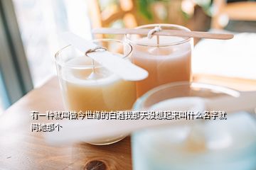 有一種就叫做今世緣的白酒我那天沒想起來(lái)叫什么名字就問(wèn)她那個(gè)